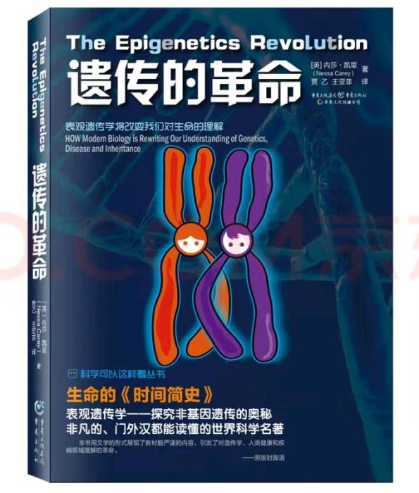 图片10.png 图片10.png