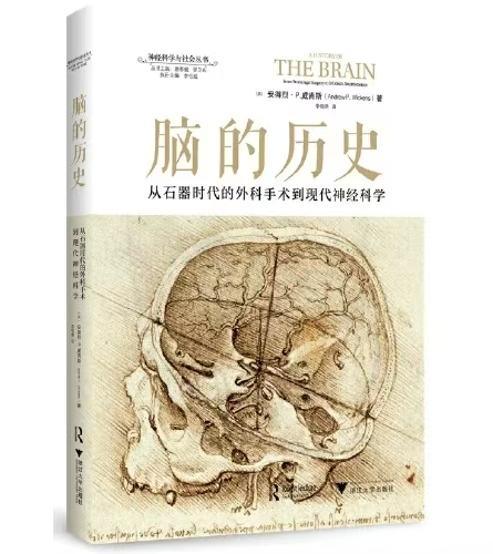 图片11.png 图片11.png